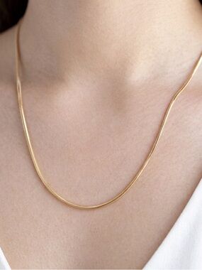 Thin Snake Bone Chain Necklace | 18K Gold Plated | Luxury Minimal Jewelry (1 mm)